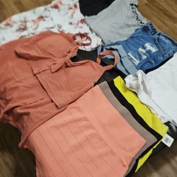 Woman's Clothing Large $30 All