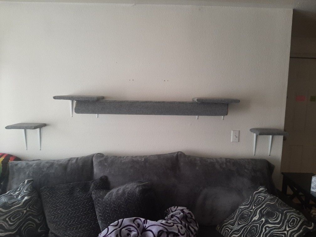 Cat Shelves