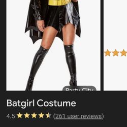 Womans L Batgirl Costume