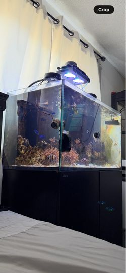 Fully Loaded Red Sea Reefer