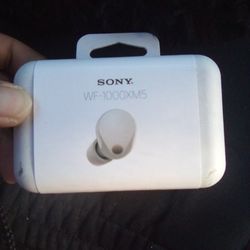 Sony Earbudz