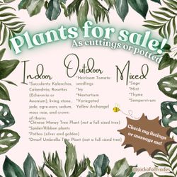 Plants for sale! Available as cuttings or potted.