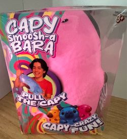Pink Cappy Squishy