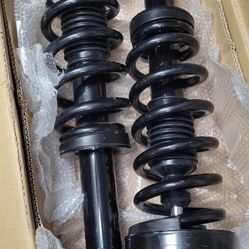 2009----2013 Ford F-150 Complete Front Struts