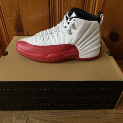 JORDAN RETRO 12