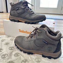 Young Mens Timberland Hiking Shoes