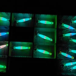 Squid jigs August 2026