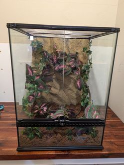 Excellent-condition Exo Terra tall glass terrarium
