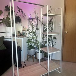 Clothing/Plant Hanger and Shelves