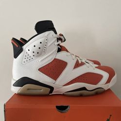 Gatorade 6s Retro Jordan Dead stock Size 9.5