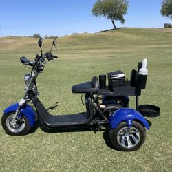 Fat Tire Golf Cart Trike