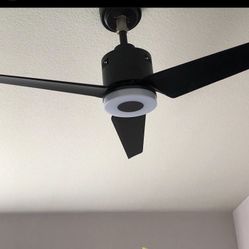 Ceiling Fans