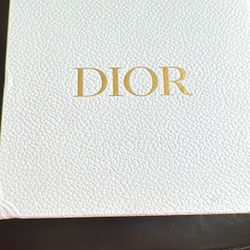 CD Vanity Beauty purse