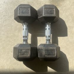 25 Pound Dumbbells 