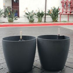 Two Lechuza self watering plant pots for sale. $20 for two of them.