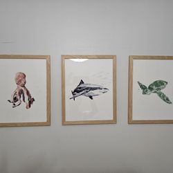 Set of watercolor marine prints - framed
