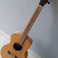 Acoustic  Electric Guitar 