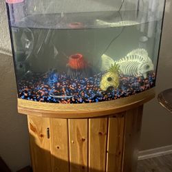 fish tank and stand 