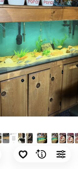 Aquarium. 125 Gallon