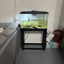 Fish Tank With Stand 
