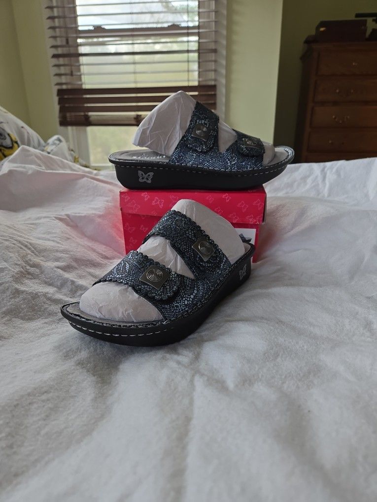 Alegria Pewter Lace Sandals