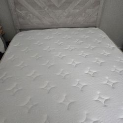 Bed Frame, Mattress, & Box Spring