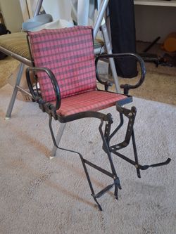 Schwinn Childs Vintage bike sest