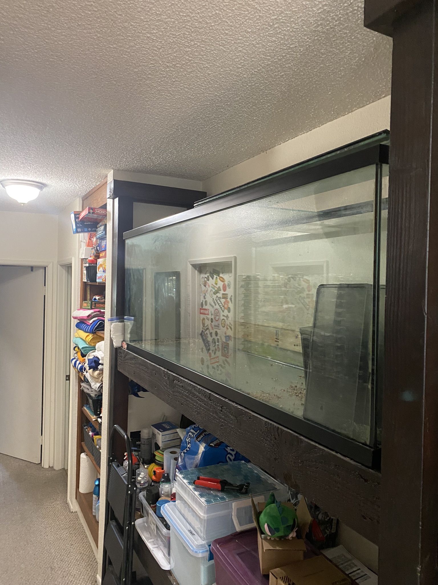135 Gallon Aquarium