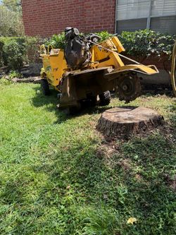 Stump Grinding