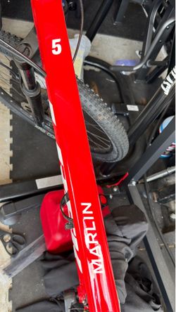 Trek Marlin 5- Mountain