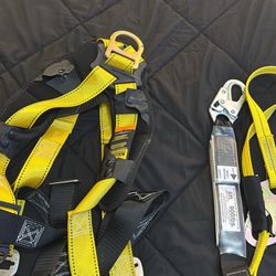Guardian Harness And Lanyard