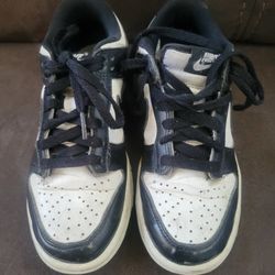Nike Dunks 