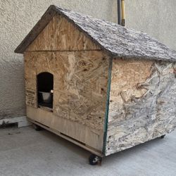 Dog House 