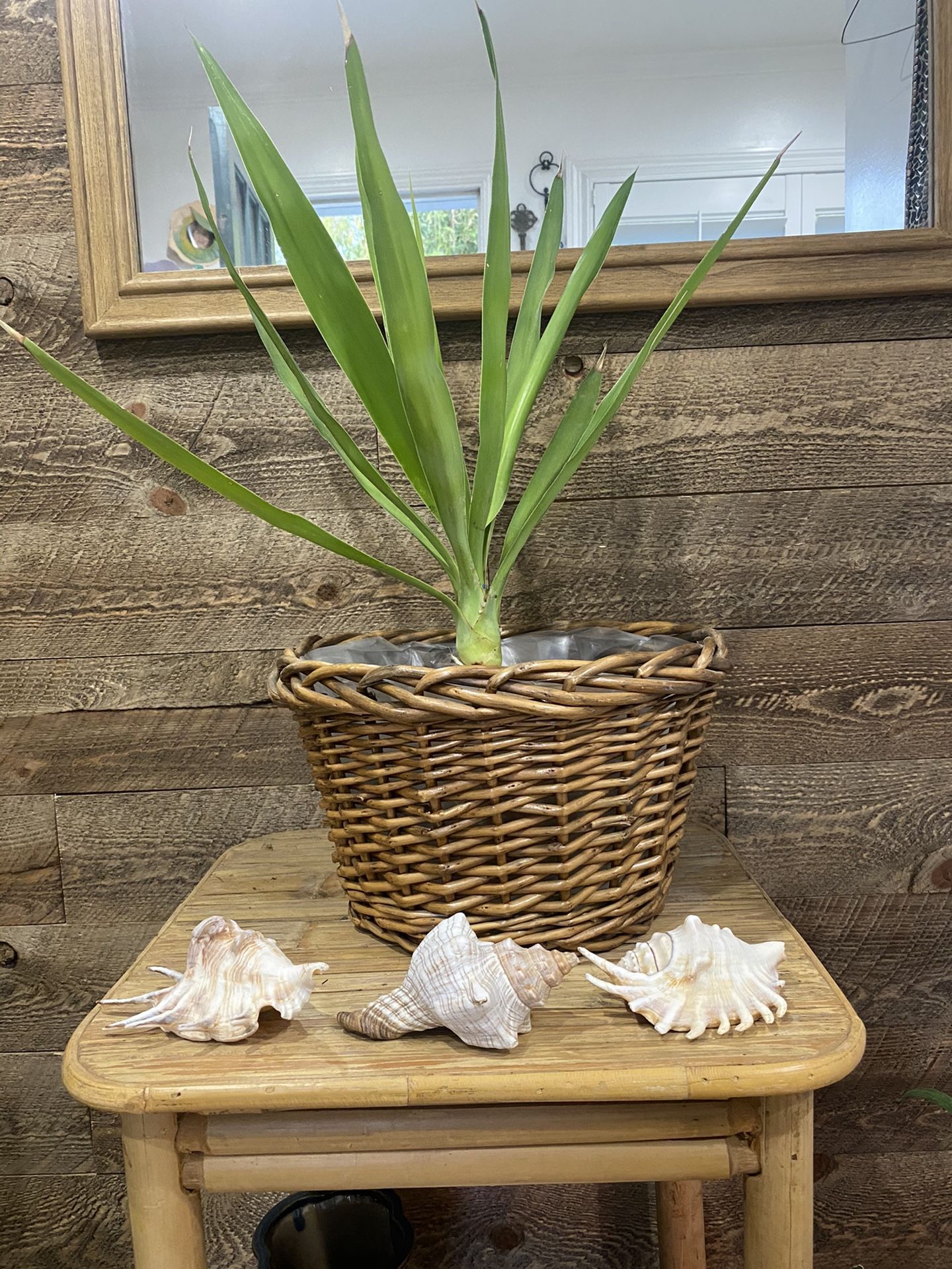 Dark Brown Lined Wicker Basket For Plants Large Woven