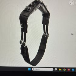 Black Lunging Syringe 