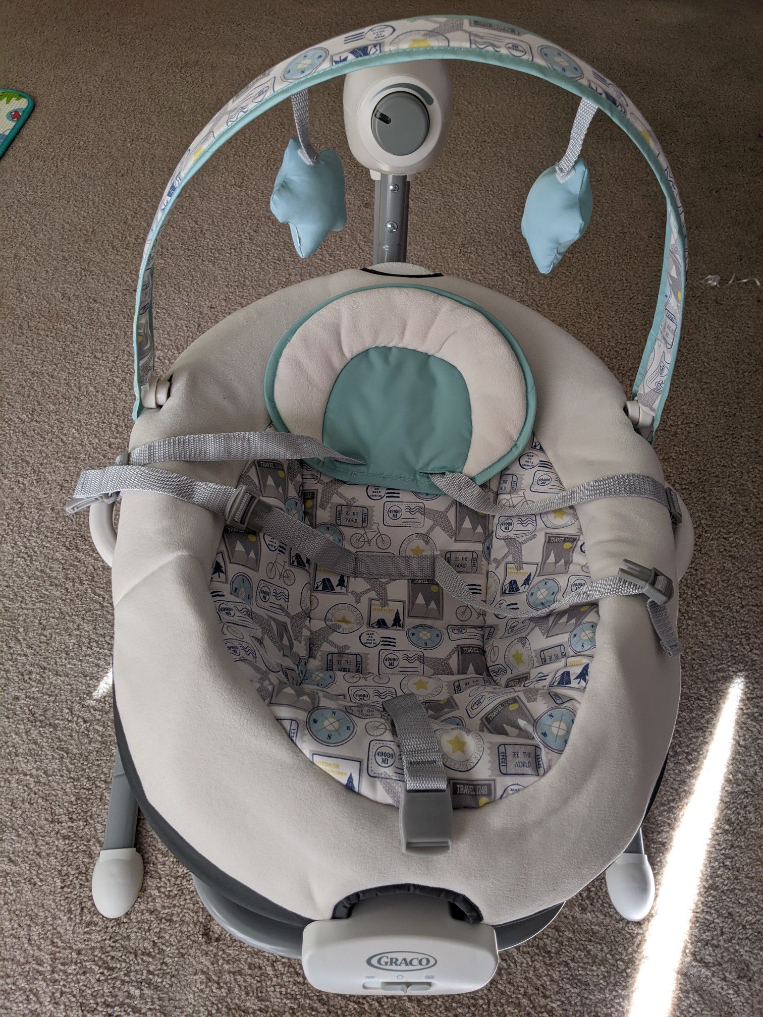 Graco Baby Swing with Portable Rocker