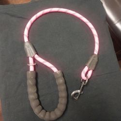 Dog  Leash  🐕 