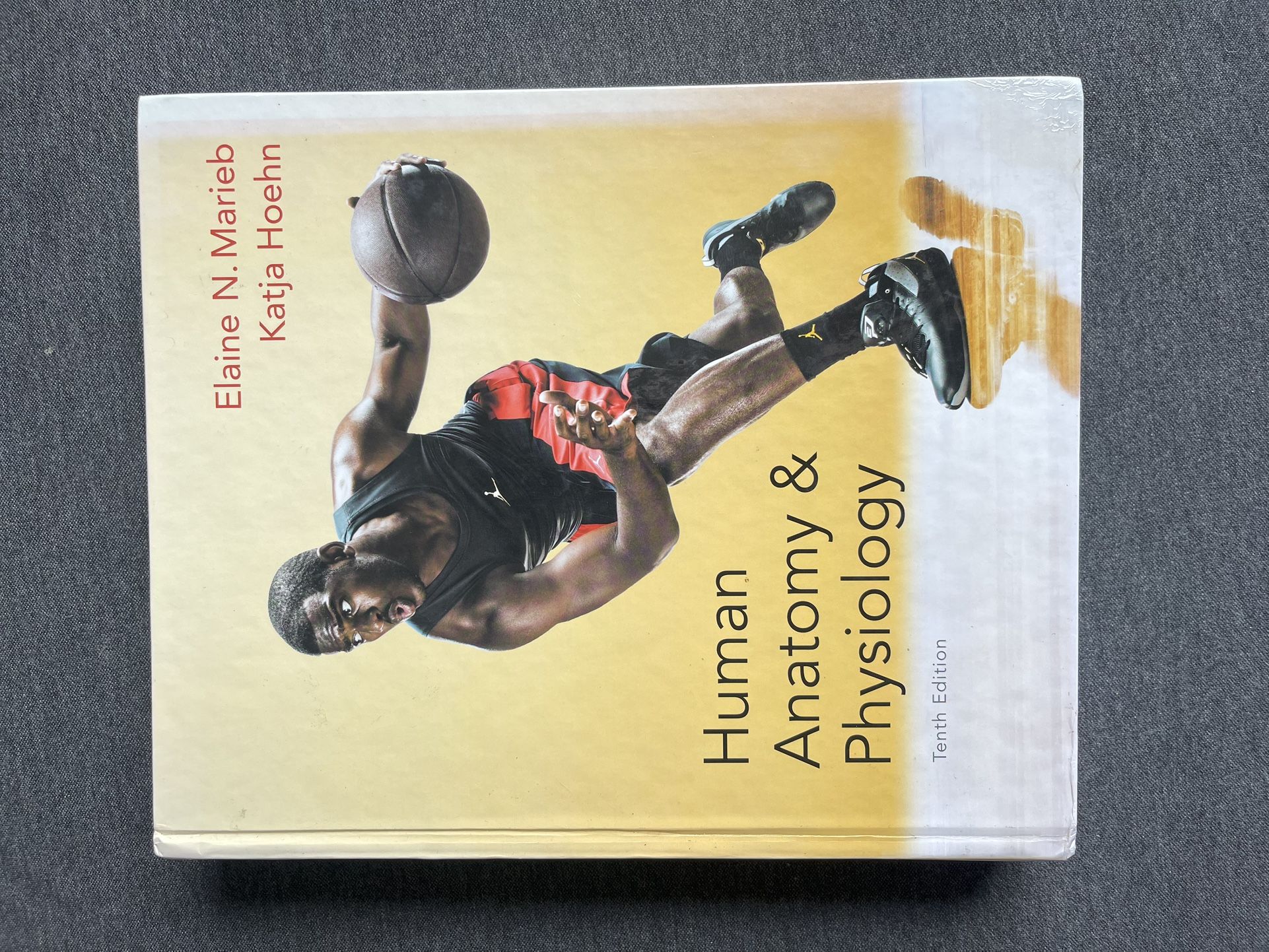 Human Anatomy & Physiology 10th Edition