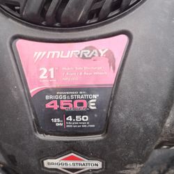 Murray 21 In.