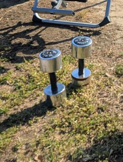 Chrome Dumbbell Pair with Golds Gym bench.