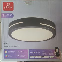 SMART Flush Mount  BREE
