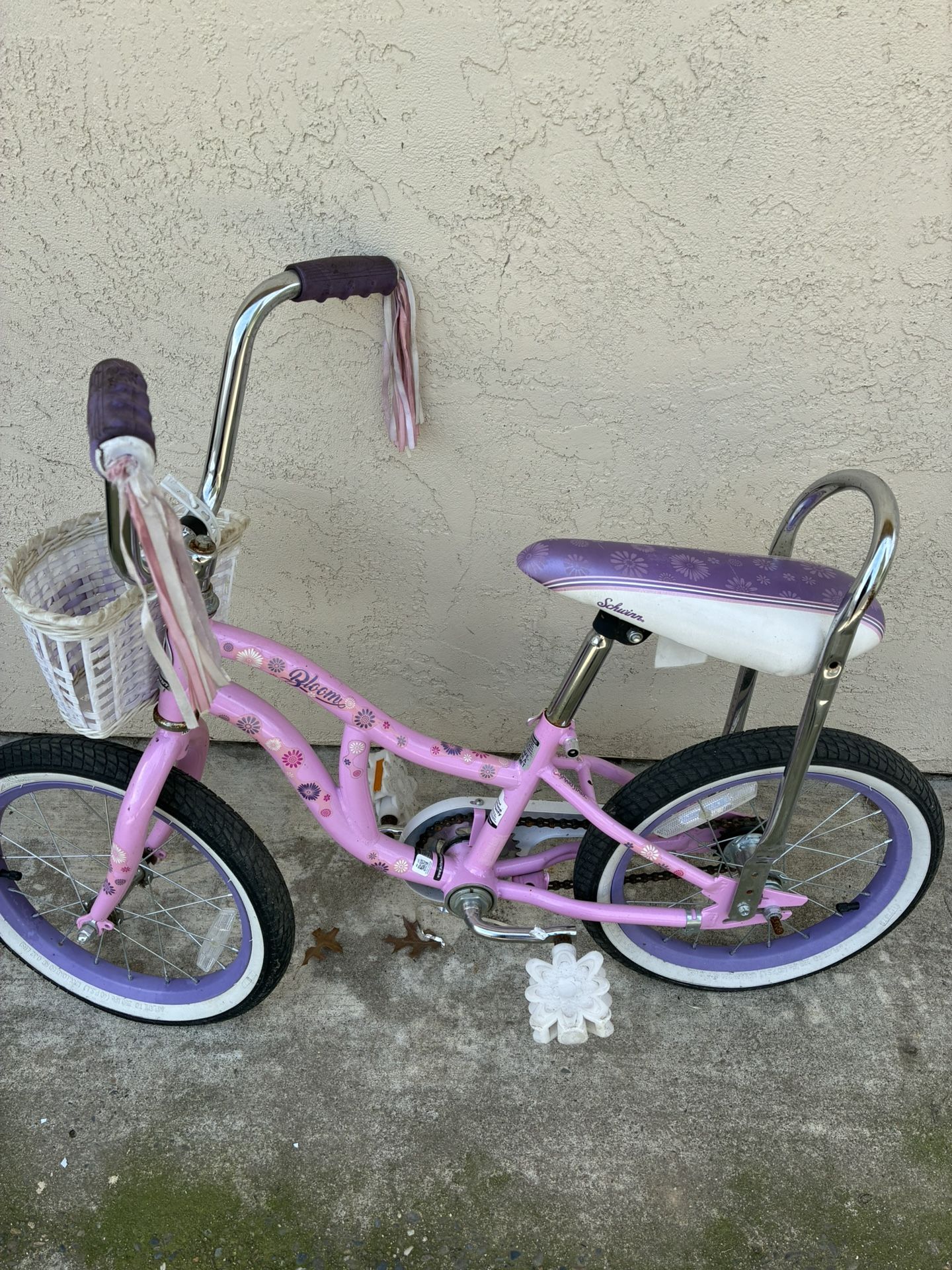 Schwinn Girl Bike