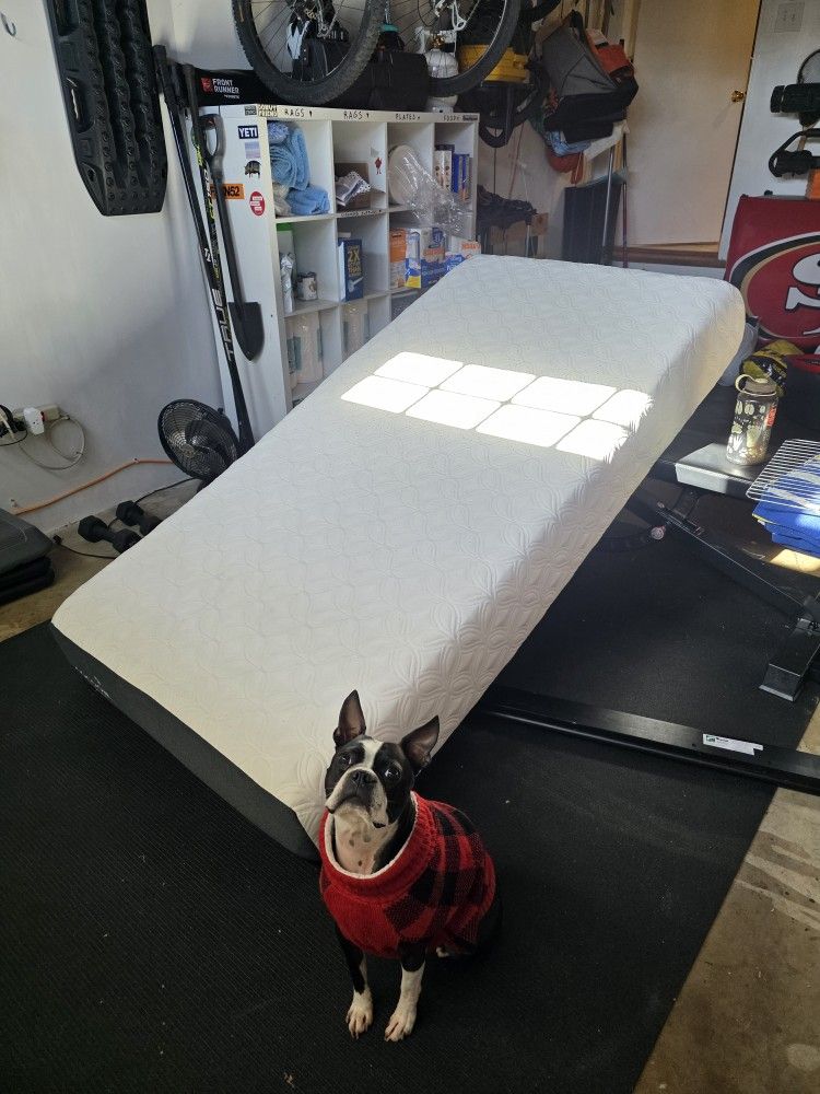 CACOON by sealy - Twin Size