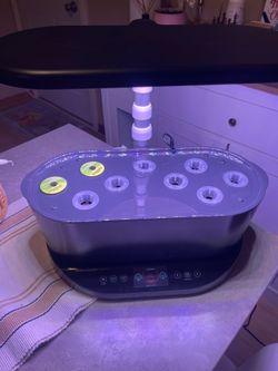 AeroGarden Indoor garden with LED grow light