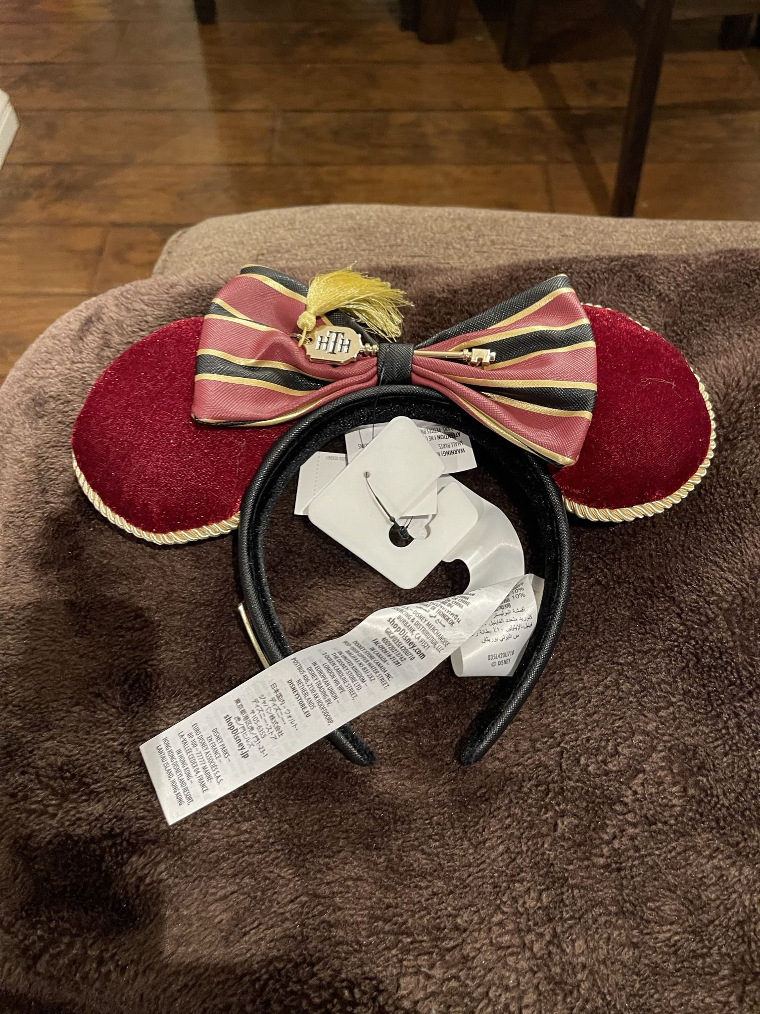 Disney Ears