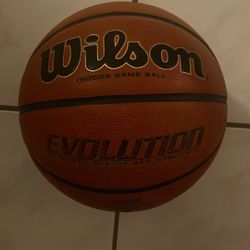 Wilson Evolution Basketball 