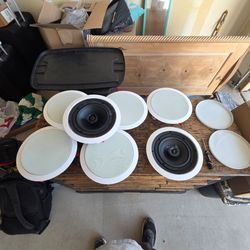 Vanguard in ceiling speakers