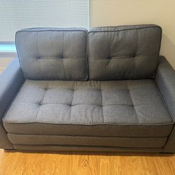 Loveseat/ Pullout 
