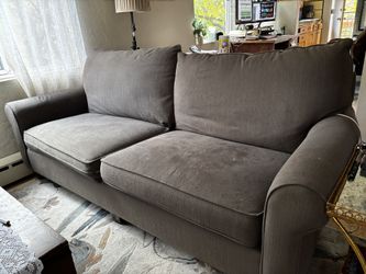Brown Basset Couch