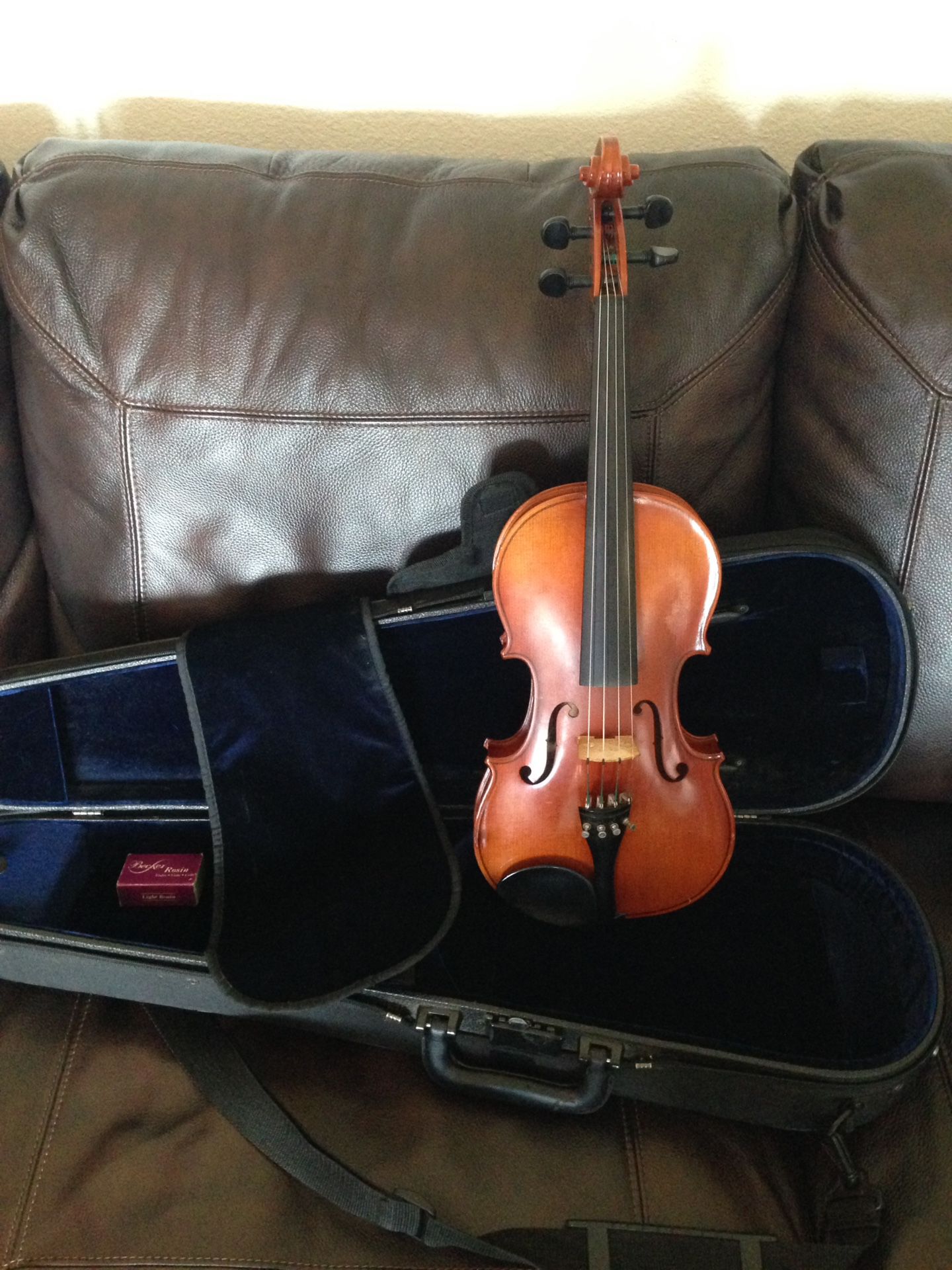 Full Size 4/4 Violin - Suzuki from Shar Music
